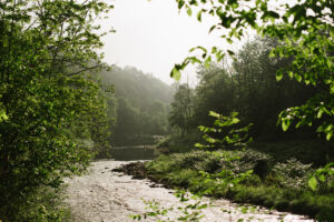 Idyllic fly fishing in Rockland