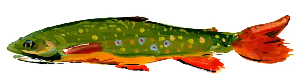Steven Weinberg's brook trout painting