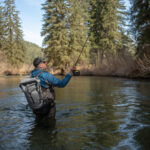 trout tips presentation techniques