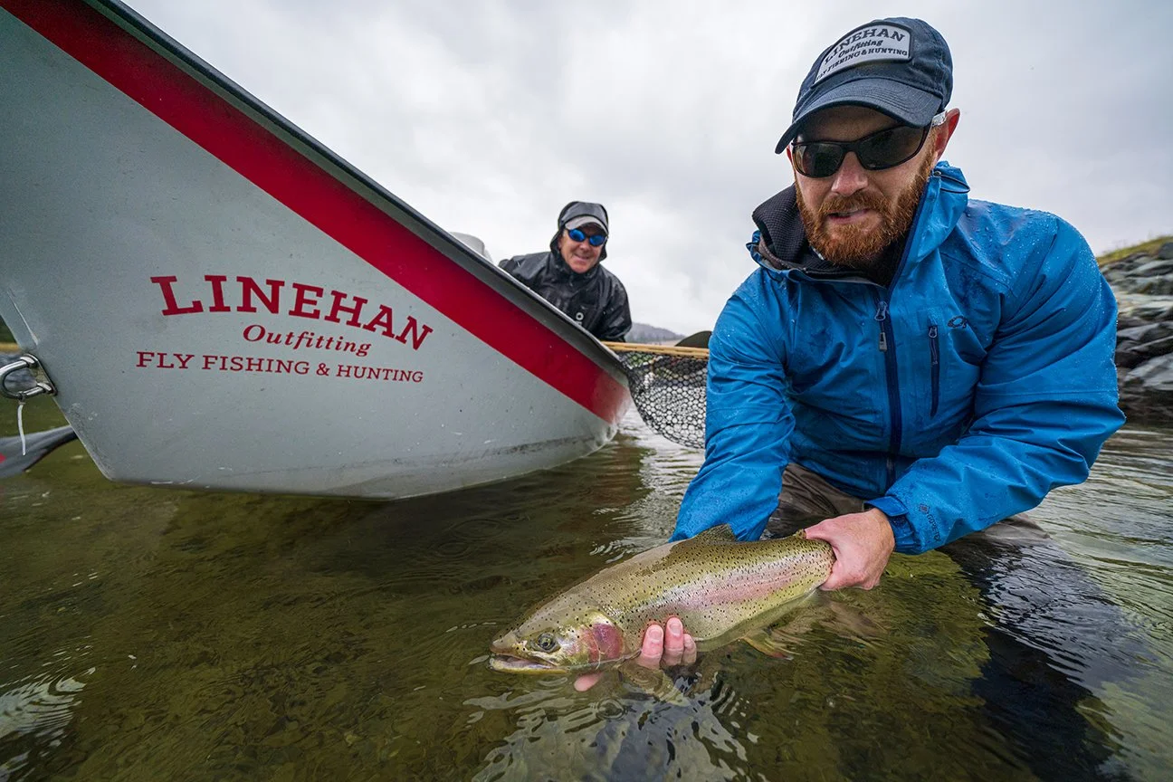 Big rainbow trout