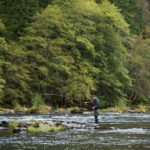 roll casting in a stream