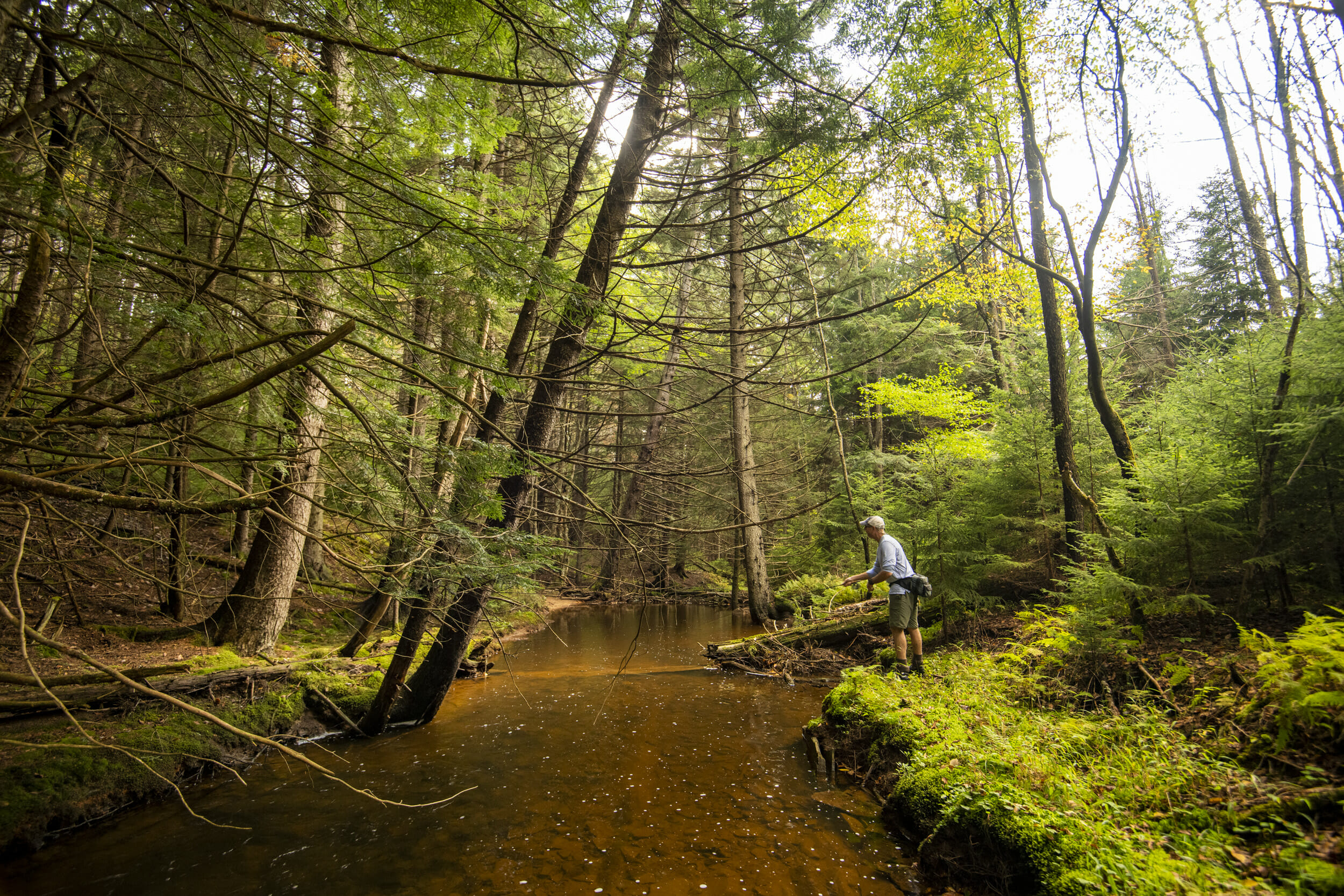 low warm creek, not good for fly fishing trout