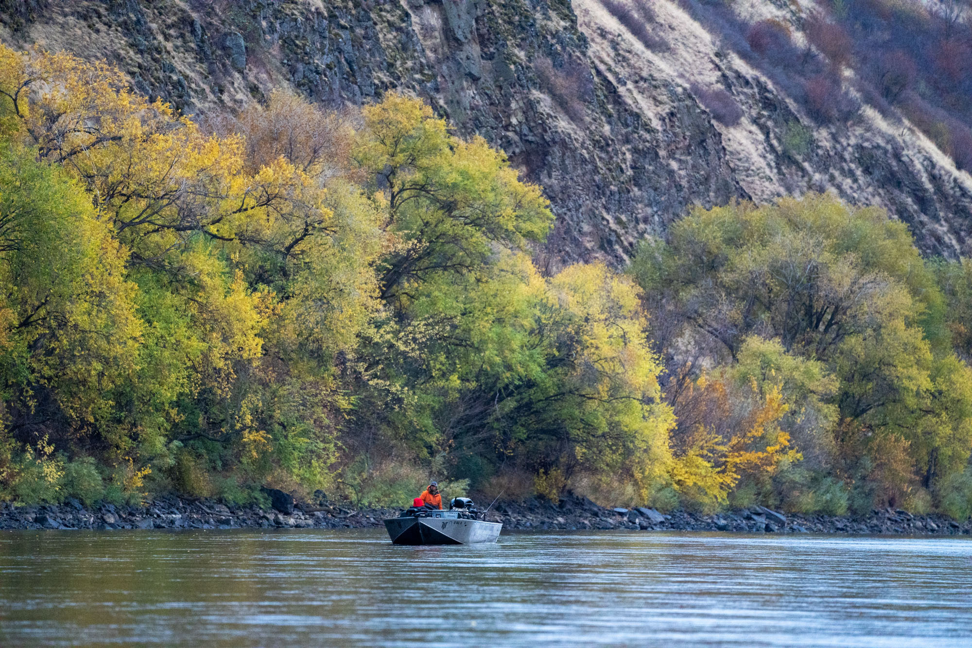 chinook season ending early