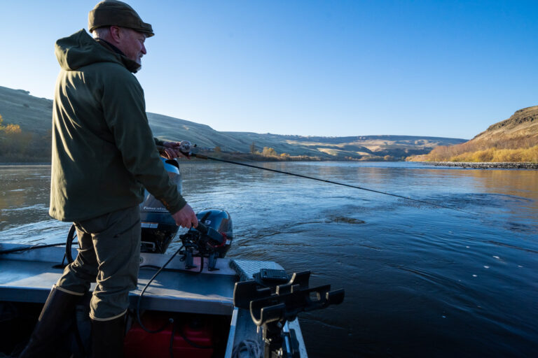 When the fish don’t show up, the river tells the truth 