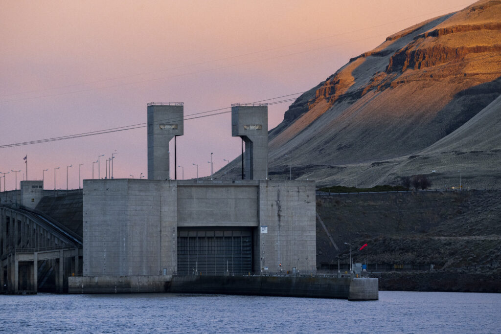 lower snake dam