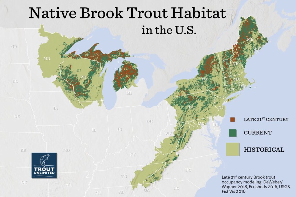 Native Brook Trout Habitat Map