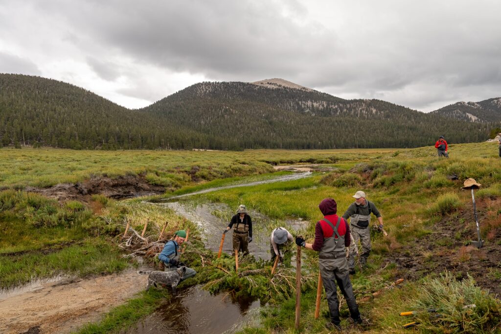 volunteers and staff building bdas kern river