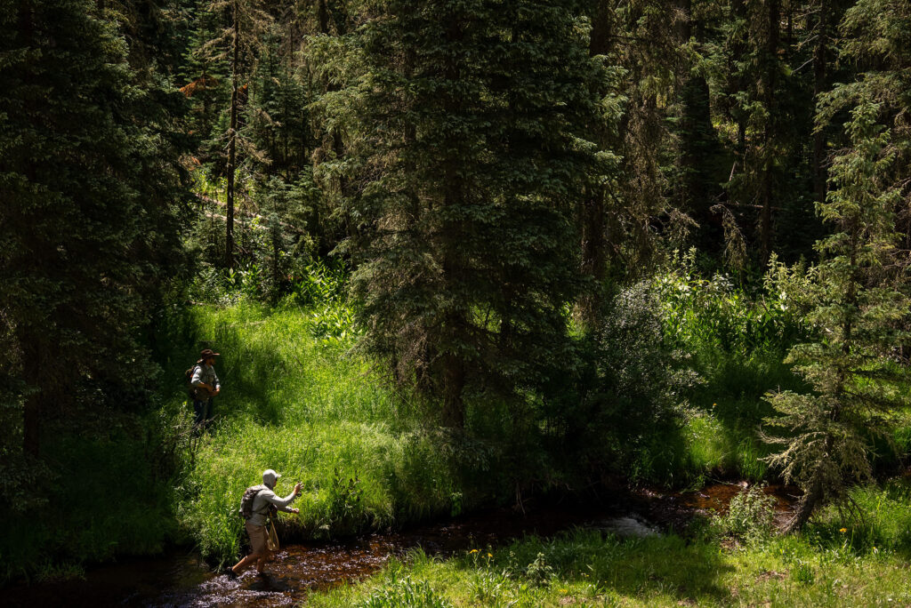 fishing in small streams where overhead casting is limited by trees and brush