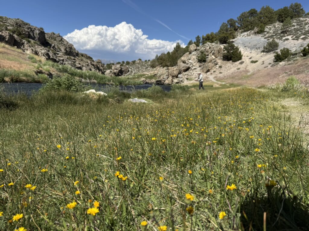 hot creek, ca