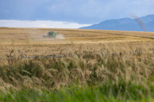 agricuture irrigation structure near Wallowa Lake