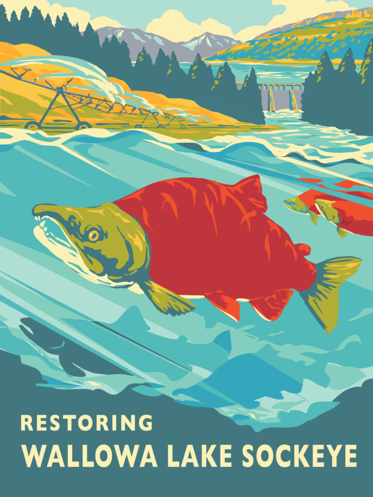 wallowa sockeye poster