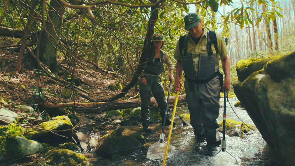 trout unlimited uses science to support brook trout population