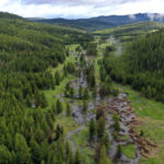beautiful wide photo of sheep creek restored flood plane