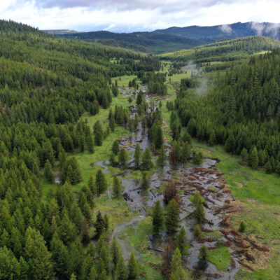 beautiful wide photo of sheep creek restored flood plane