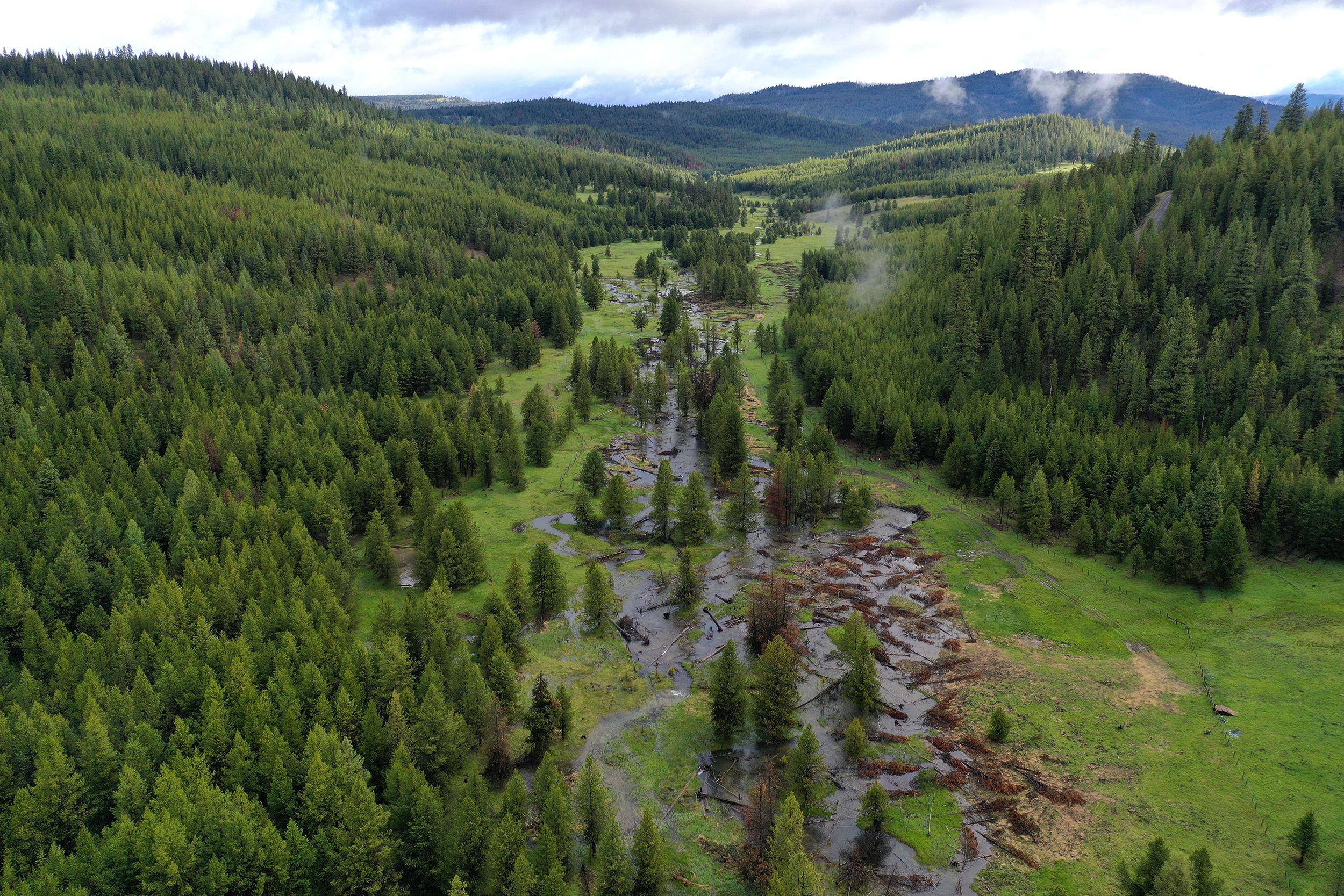 beautiful wide photo of sheep creek restored flood plane