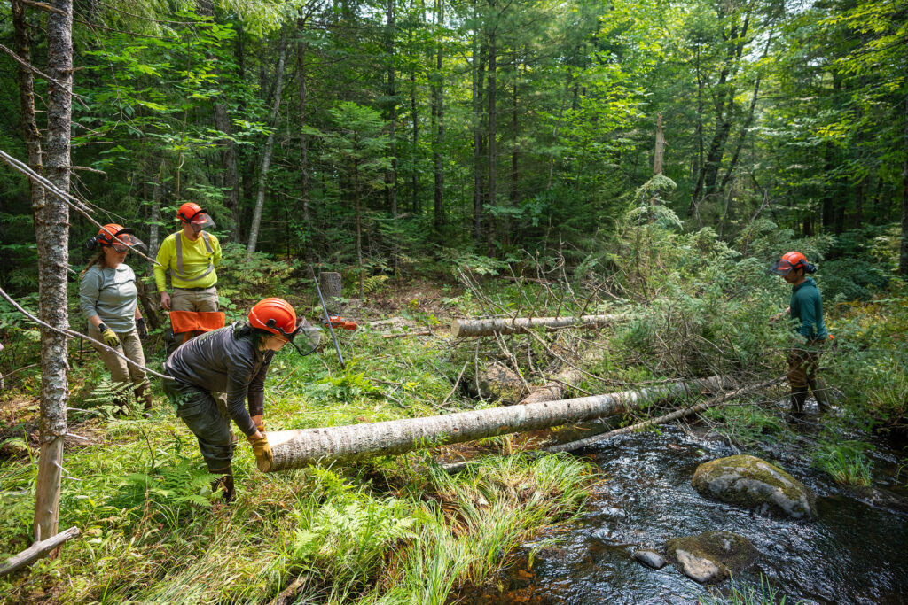 adding large wood to stream