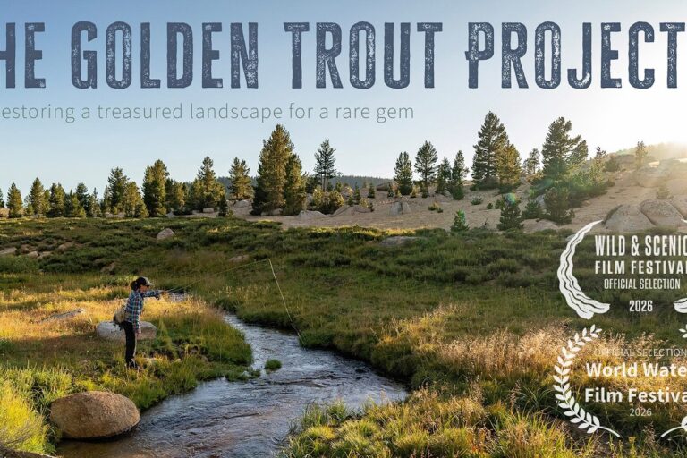 Video of the Week – The Golden Trout Project 