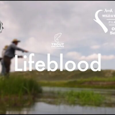 lifeblood film title card