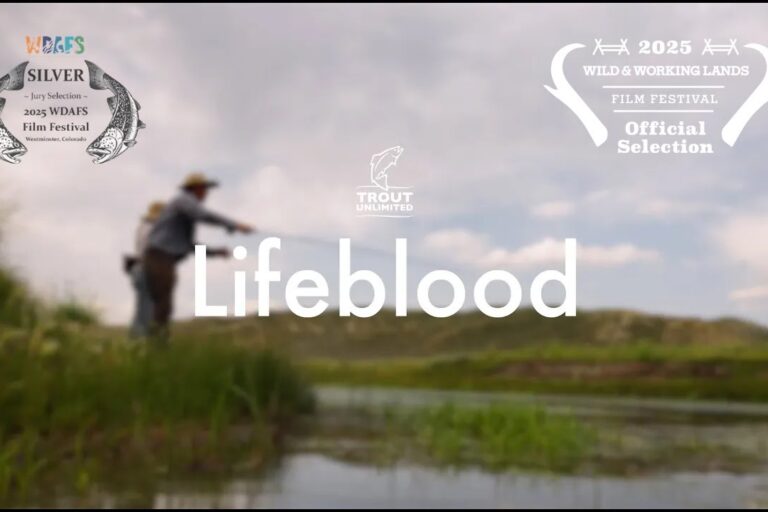 Video of the Week – Lifeblood