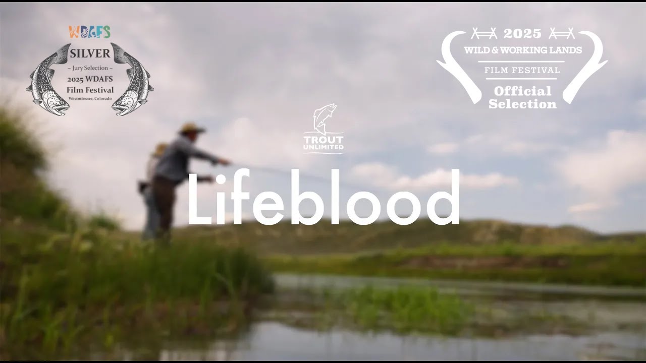 lifeblood film title card