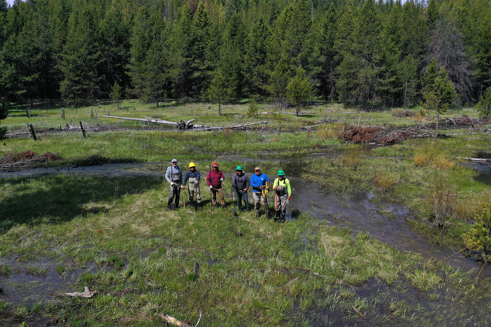 collaborative group sheep creek restoration
