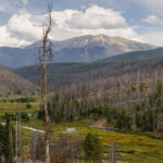 co forest stream recovering after wildfire