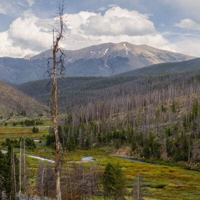 co forest stream recovering after wildfire