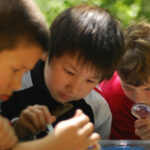 kids exploring insects