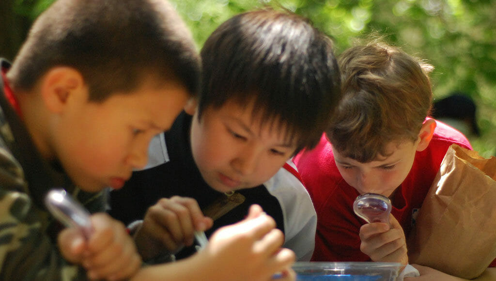 kids exploring insects