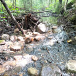 south branch moose river habitat