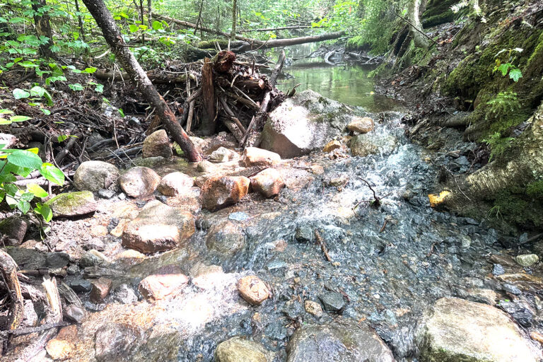 South Branch Moose River reconnection project for brook trout 