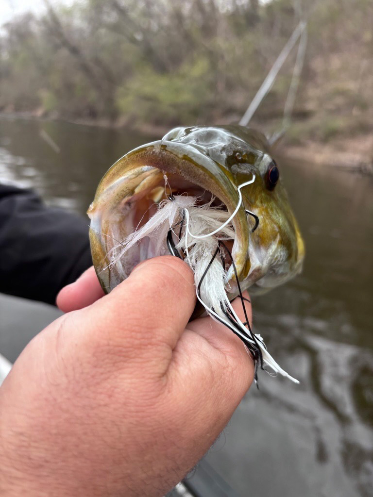 Smallmouth on streamers. There's almost nothing better
