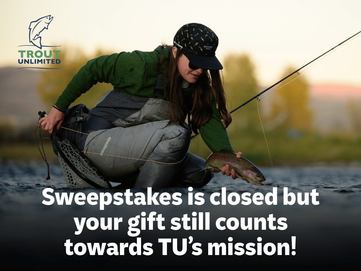 Support Trout Unlimited