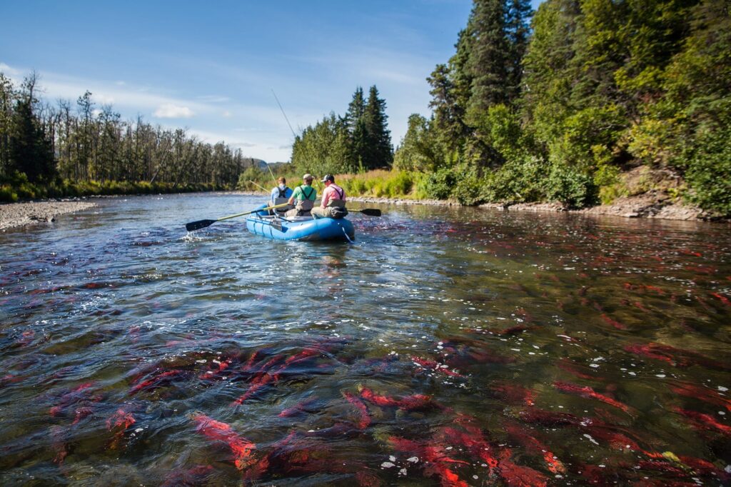 anglers out on a boat in bristol bay during salmon run
