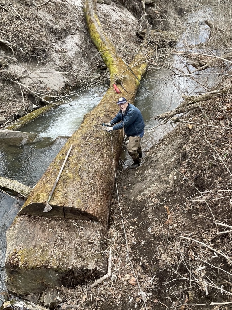 Bernard Bud Nagelvoort in the stream next to a giant log
