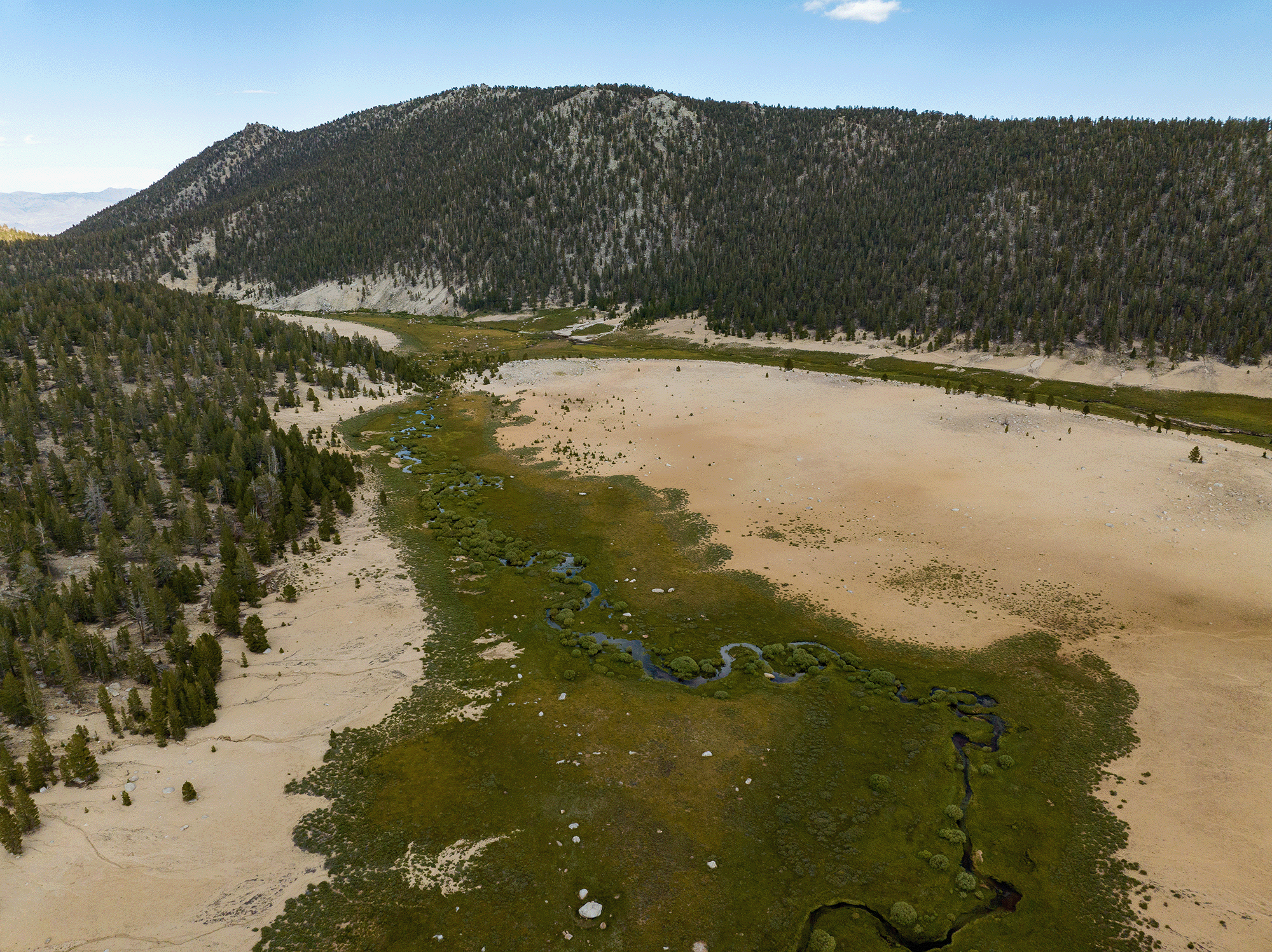 full landscape view of california high elevation meadows drought reduced flood plains