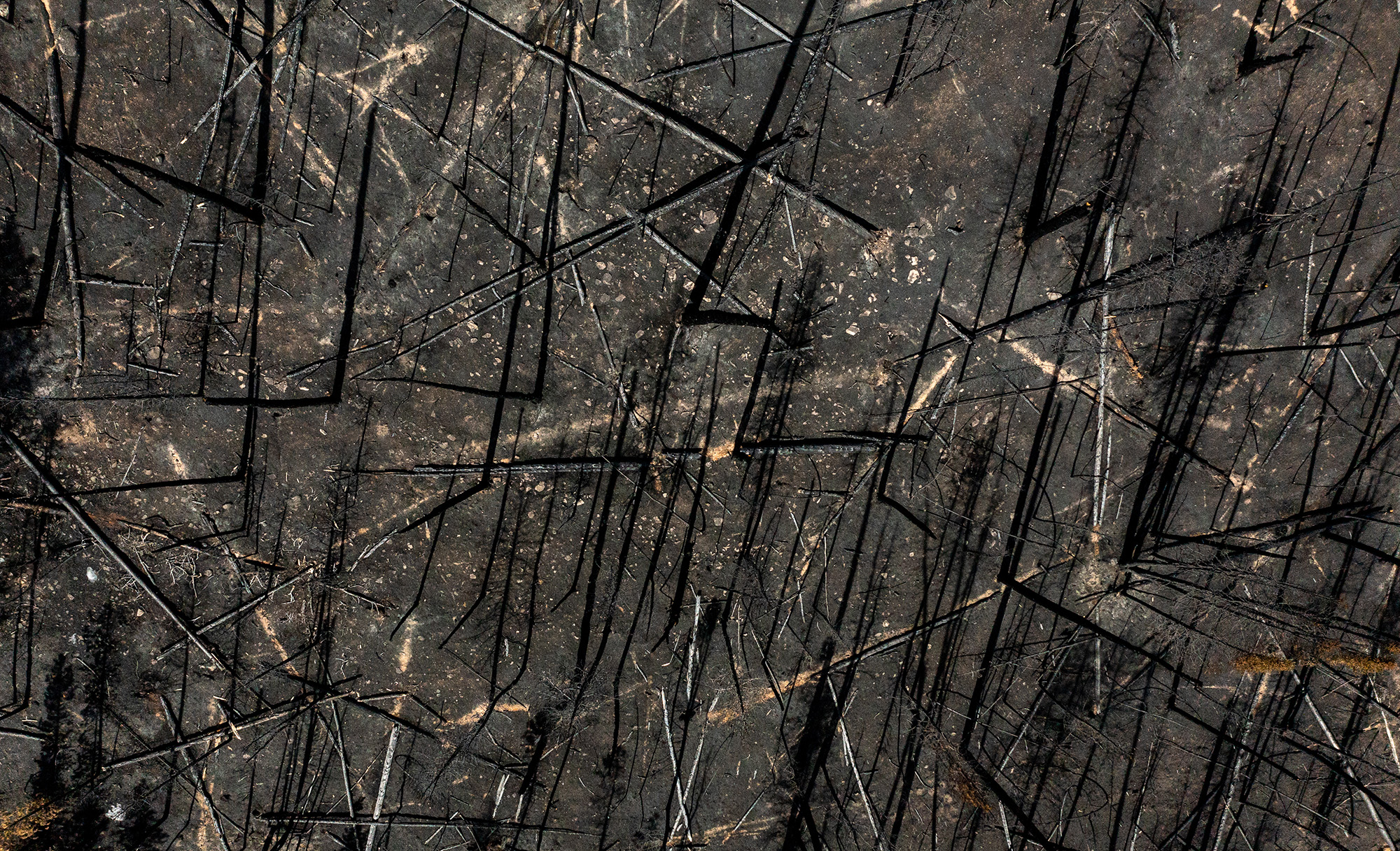 arieal view of burn scar black charred remnants of trees