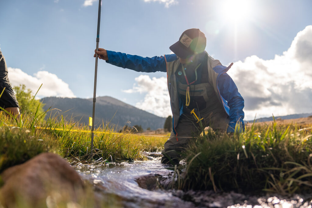 trout unlimited staff measuring stream as part of floodplains restoration effort in golden trout wilderness ca
