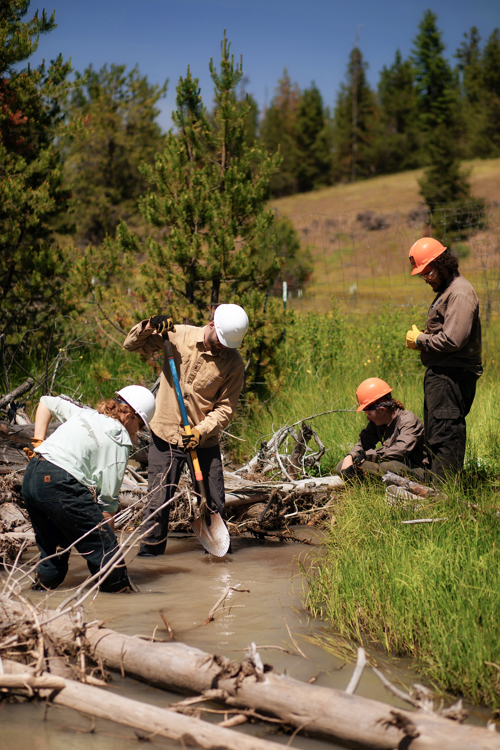TU staff working on muddy creek bda stream restoration