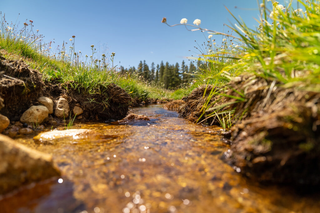 eye view of water down small stream