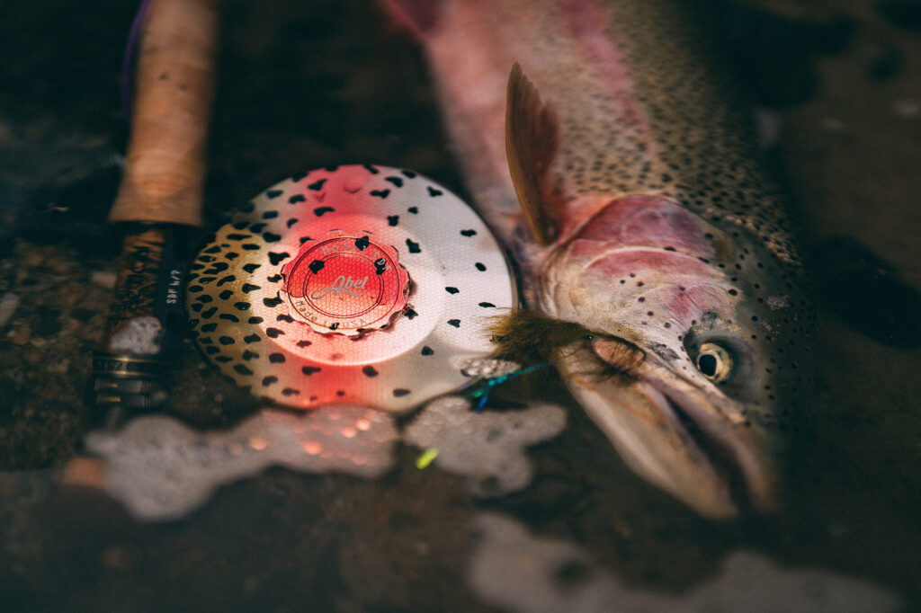 close up of trout next to reel