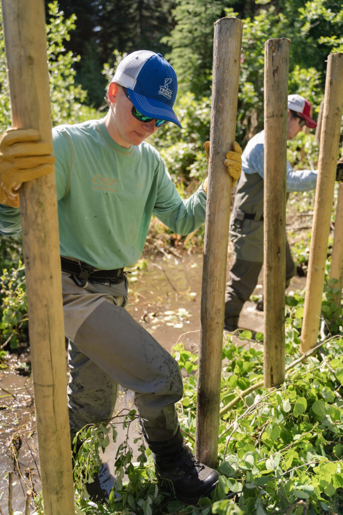 placing log posts to support BDA