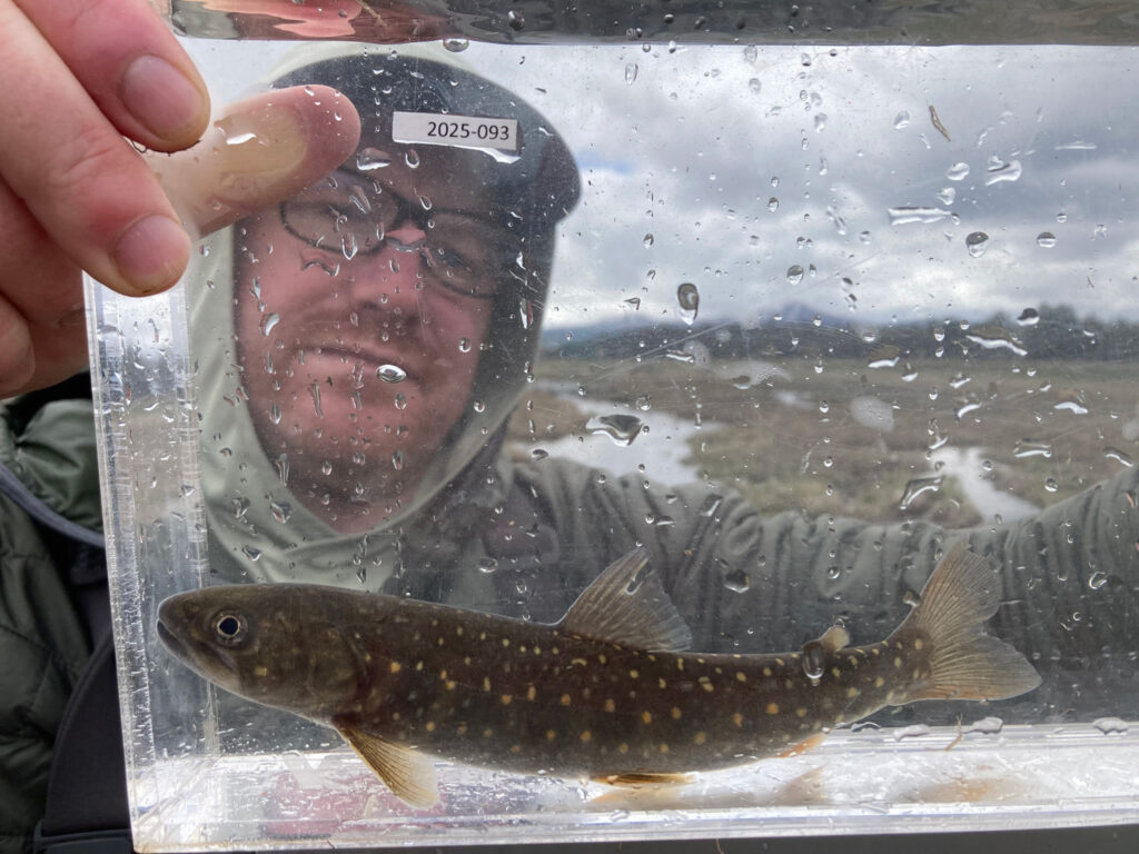 charlie TU monitoring bull trout