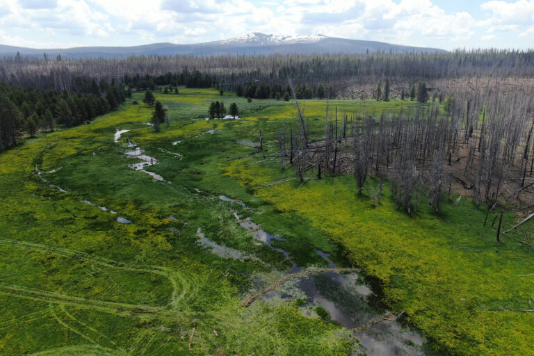 Sprague River – Restoring water and habitat in the Klamath headwaters 