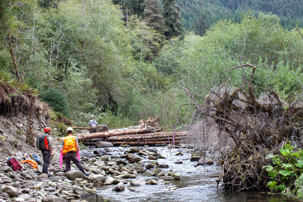 contractors working on log jam at owl creek