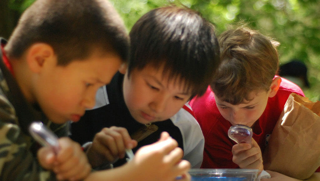 three young boys looking at insects learning about fly fishing