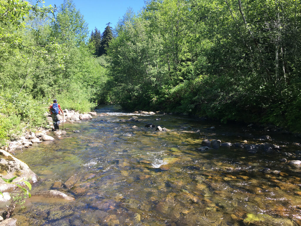 surveying missing logjams owl creek