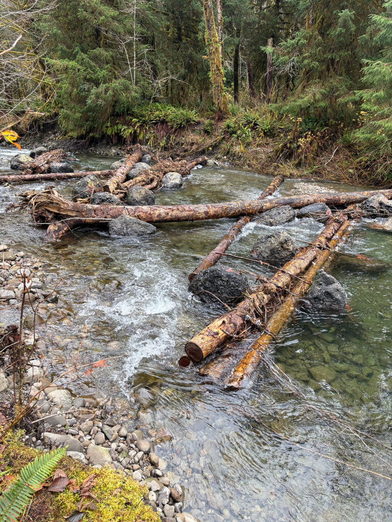 log jam at owl creek