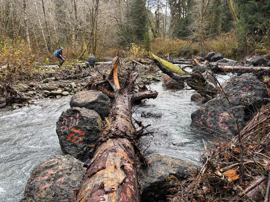 close up of logjam at owl creek