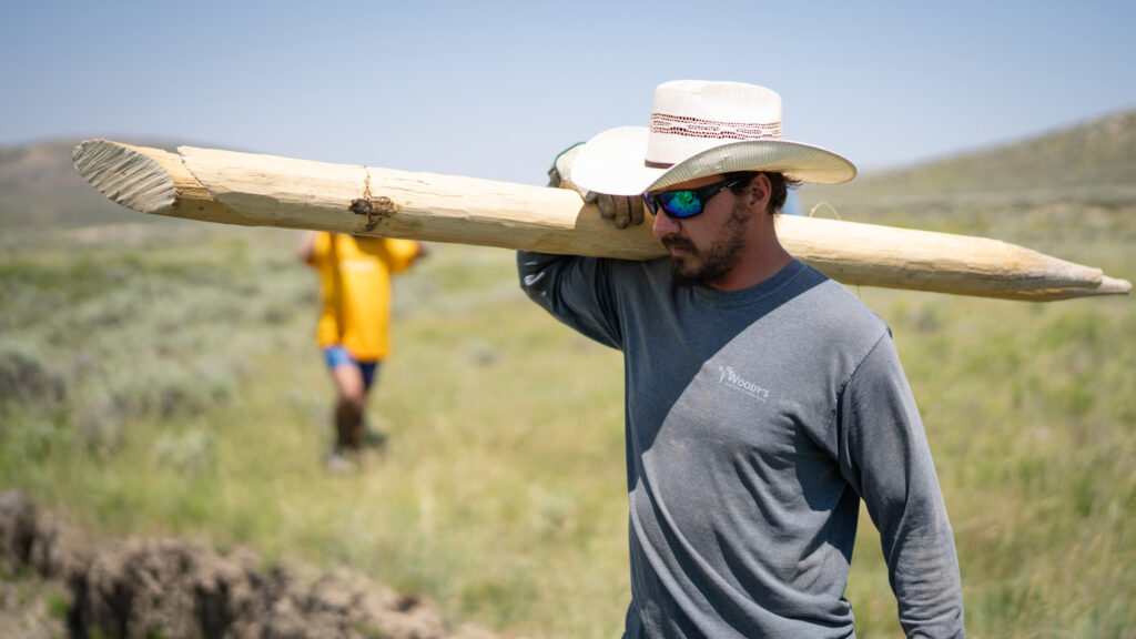 carrying log post for BDA